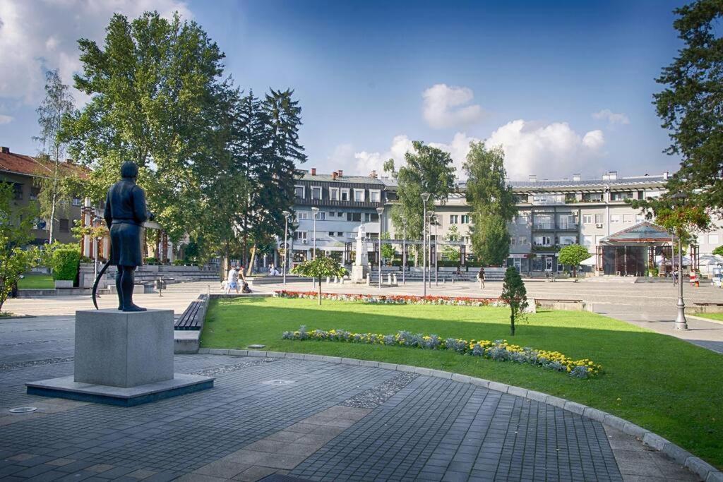 Апартаменты Centar Pozege, Stan Za Odmor Pozega Экстерьер фото